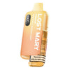 Lost Mary Bm6000 Prefilled Pod Vape Kit - VapingSupplier